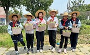 体验蚕豆采摘，传承立夏文化——四（9）中队开展采摘蚕豆活动