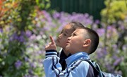 春日研学，知行合一的探索之旅　——娄葑学校小学部开展2025年春季社会实践课程