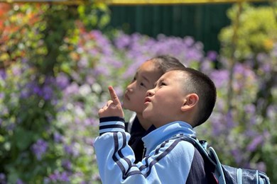 春日研学，知行合一的探索之旅　——娄葑学校小学部开展2025年春季社会实践课程
