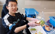 美食小工匠：自制三明治的乐趣 ——记苏州工业园区娄葑学校八4班“自制美味三明治”劳动课